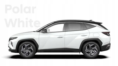 HYUNDAI TUCSON IV 4 21r ΕΞΩΤΕΡΙΚΗ ΛΑΒΗ ΑΡΙΣΤΕΡΑ ΠΙΣΩ Product image