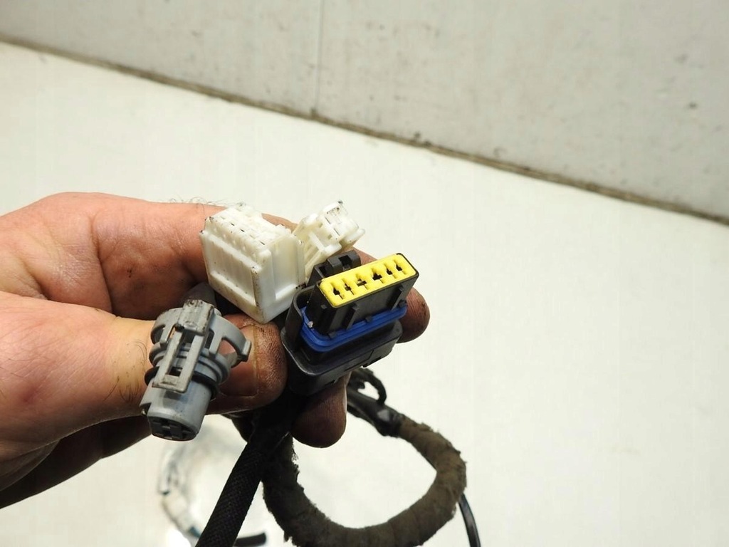 ΤΟΠΟΘΕΤΗΣΗ ΚΑΛΩΔΙΩΝ ΠΟΡΤΑΣ ΔΕΞΙΑ NISSAN QASHQAI 24127JD101B Product image