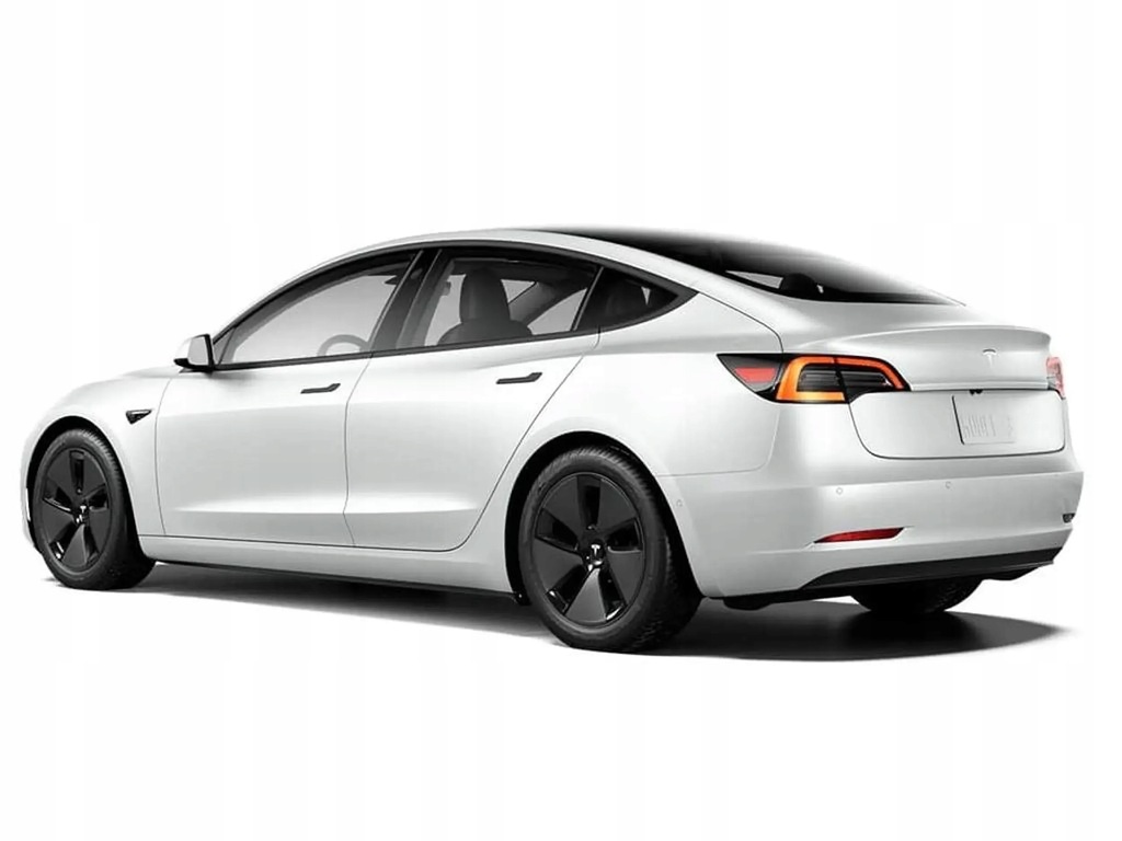 TESLA MODEL Y 2023 PAW PILLOW ΒΑΣΗ ΚΙΝΗΤΗΡΑ 1093278-00-B Product image