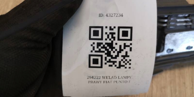 294222 Δεξί ένθετο λαμπτήρα FIAT PUNTO I Product image