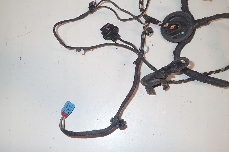 AUDI A3 8V ΚΑΤΑΣΤΡΟΦΗ ΔΕΞΙΑ ΚΑΛΩΔΙΑ ΠΟΡΤΑΣ 8V7971030A Product image