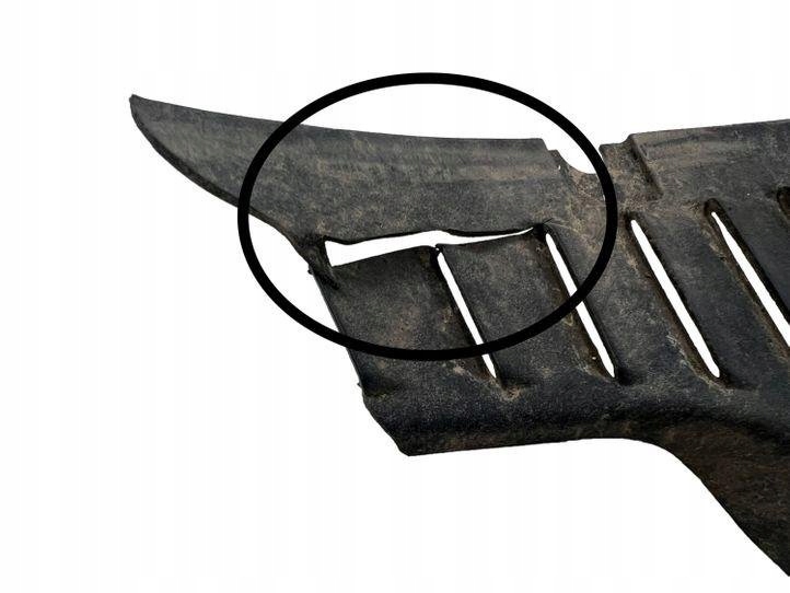 78819JD00A NISSAN Πίσω δεξιά λάσπη Product image