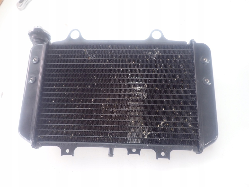 BMW G310GS G310R K02 K03 ψυγείο 8558350 Product image