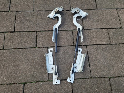 CAPTUR και HINGES MASK BRACKETS CYLINDERS 654011593R 654001377R 13-2019