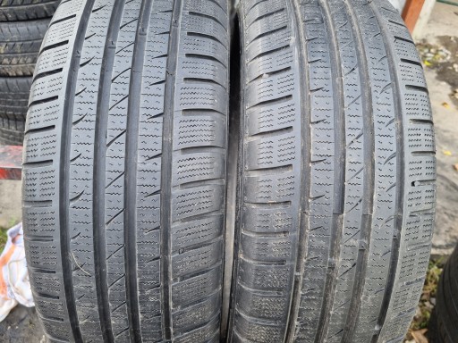 185/60R15 Fortuna Gowin HP