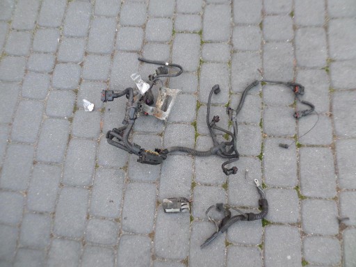 Ο αργαλειός καλωδίωσης κινητήρα Opel Corsa d 1.4 z14xep