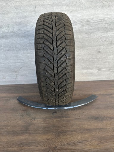 Semperit AllSeason Grip 95V XL 195/65R15 8,16mm